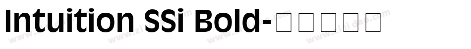 Intuition SSi Bold字体转换